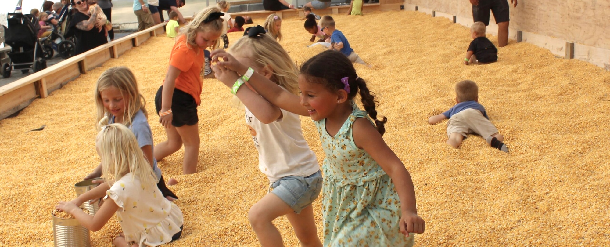 IMG_2175-crop-scaled